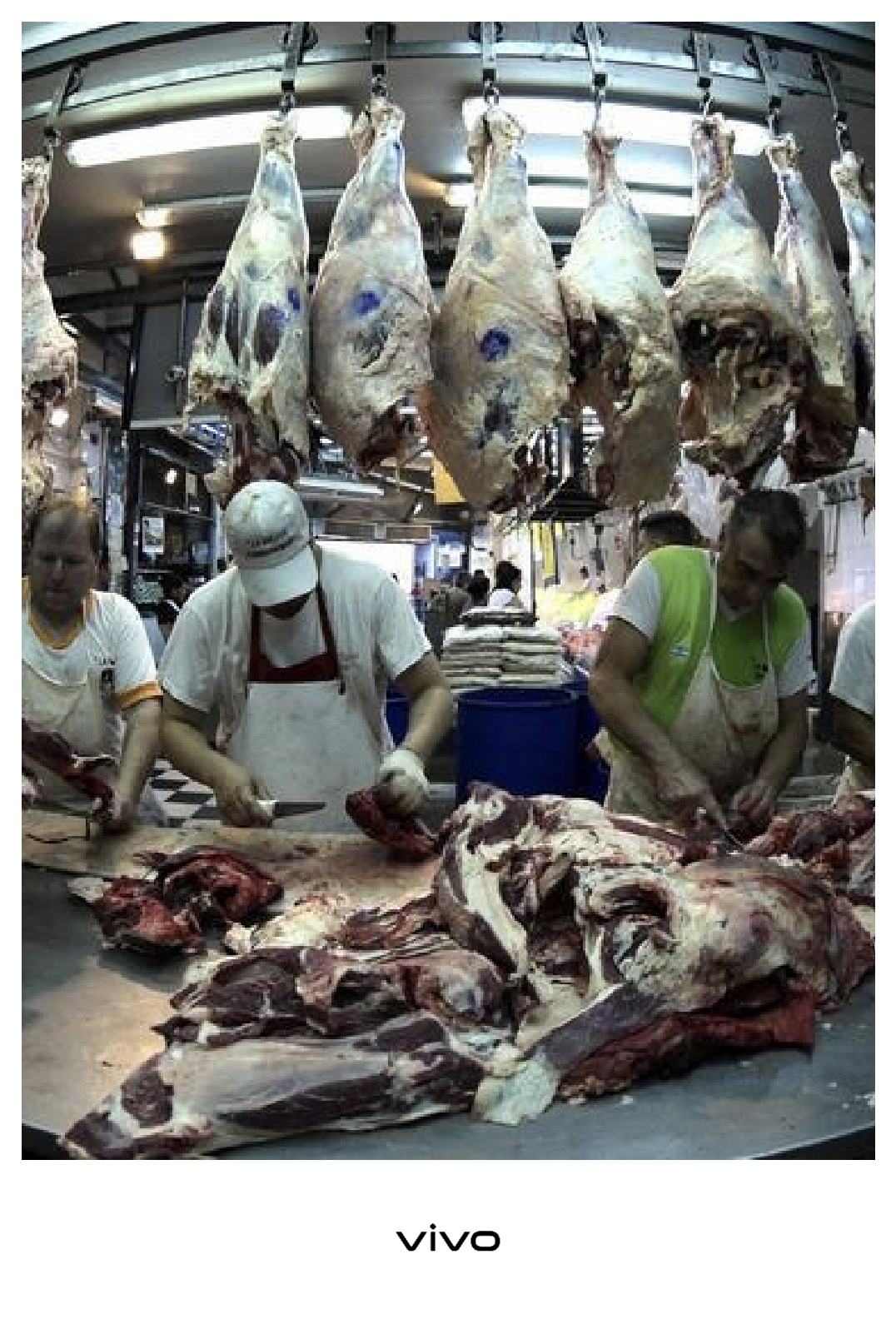 Seafood and Meats